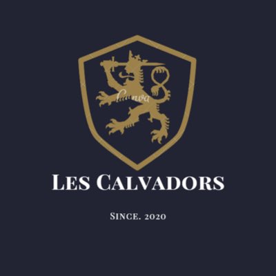 ⚽️ Les Calvadors ⚽️ tweet media