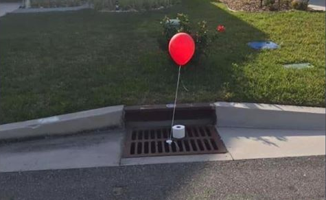 LowerMyBalls's tweet photo. They all wipe down here, Georgie. And when you're down here, you'll wipe too! https://t.co/KtA3mgGwCj