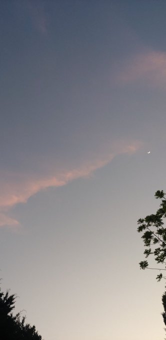 Tonight https://t.co/d36jy8wo6o<a href="/tag/newprofilepic"class="tags"><span>#newprofilepic</span></a>