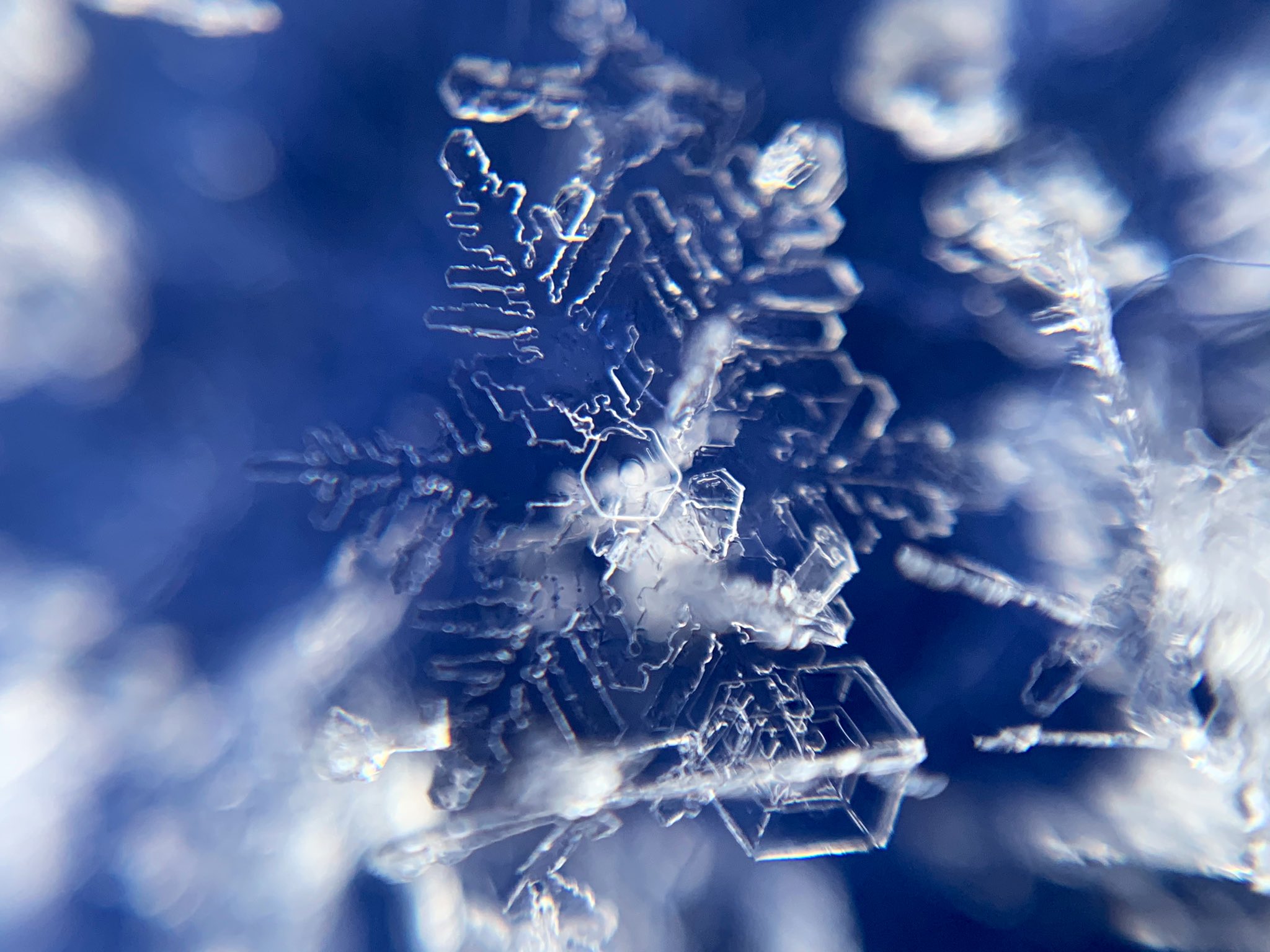 荒木健太郎 突然大粒の牡丹雪になって巨大な樹枝状結晶が降ってきた 29日13時すぎ筑波山つつじヶ丘駅 関東雪結晶 T Co Eywl44img9 Twitter