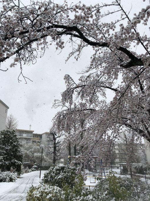 ルーペ付けて撮るとたのしい 井上 五味 葛太郎 井上大輔 Inve Disxのイラスト