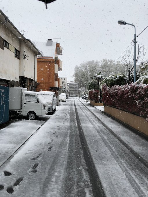 ルーペ付けて撮るとたのしい 井上 五味 葛太郎 井上大輔 Inve Disxのイラスト