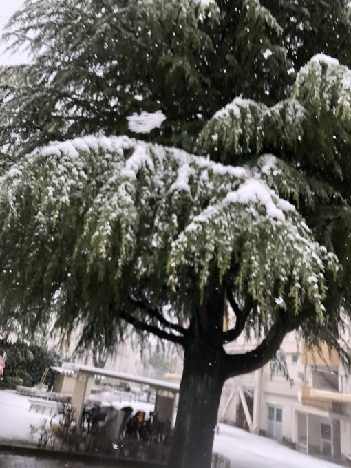 ルーペ付けて撮るとたのしい 井上 五味 葛太郎 井上大輔 Inve Disxのイラスト