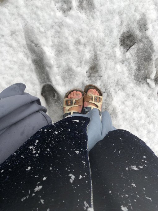 ルーペ付けて撮るとたのしい 井上 五味 葛太郎 井上大輔 Inve Disxのイラスト