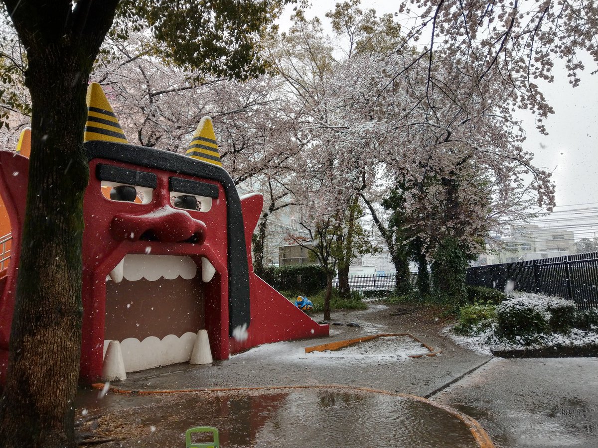 ren0330's tweet photo. 雪と桜と鬼公園 https://t.co/60n1axVuSJ