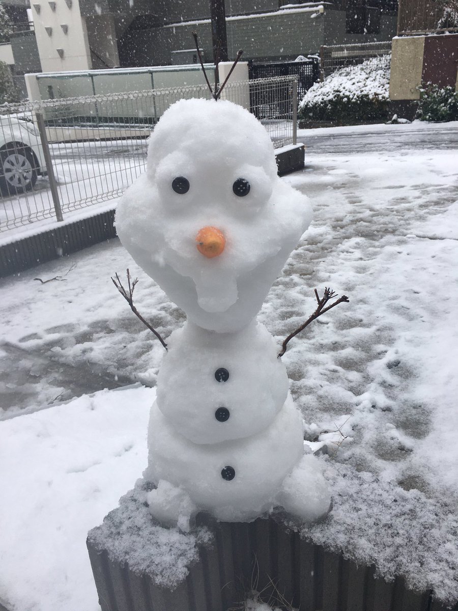 リーマンレーサー tweet media