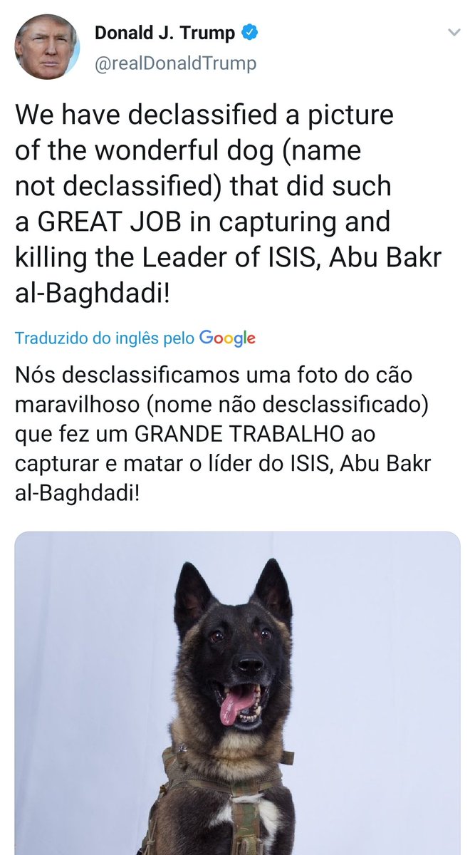 30) No dia seguinte TRUMP com seu jeito irônico vai ao tt e faz uma homenagem ao Cão que teria ajudado na morte de Al -Baghdadi....Por isso..."TODO CÃO TEM O SEU DIA"SEJA ELE UM TRAIDOR...OU UM MARAVILHOSOHERÓI..... #Qanon  #WWG1WGA  https://twitter.com/realDonaldTrump/status/1188909031403900928?s=19