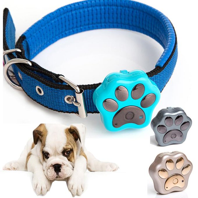 's Media: Waterproof GPS!!
#dog #dogs #mydog #doglife #ilovemydog #puplife #gps https://t.co/p9QIuje3FV 's Media: Waterproof GPS!!
#dog #dogs #mydog #doglife #ilovemydog #puplife #gps https://t.co/p9QIuje3FV