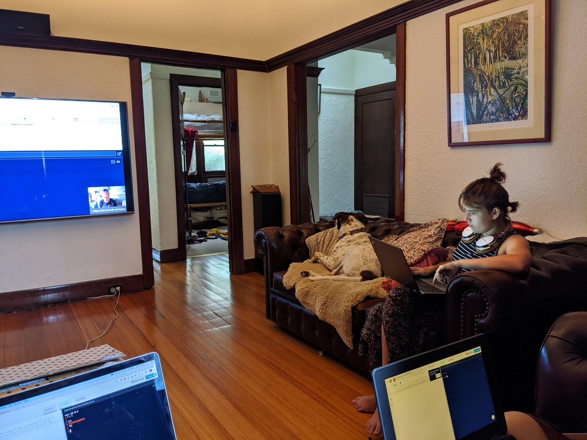 wombling's tweet image. @qmacro kids really enjoying your #CodeAtHome session, thanks!
