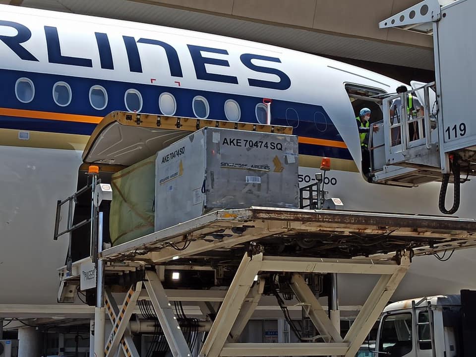 inquirerdotnet's tweet photo. LOOK: Singapore has donated 40,000 COVID-19 test kits and two ventilators to the Philippines in a bid to support its fight against the rising number of infections. #COVID19PH (📷: Singapore Embassy in Manila)

Read: https://t.co/pmgj5NlBlJ https://t.co/PU1B1LxVDs
