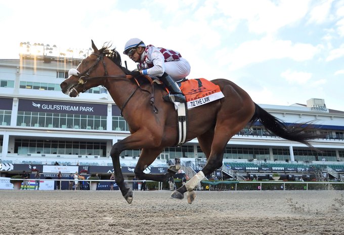 Tiz the Law - Florida Derby 2020