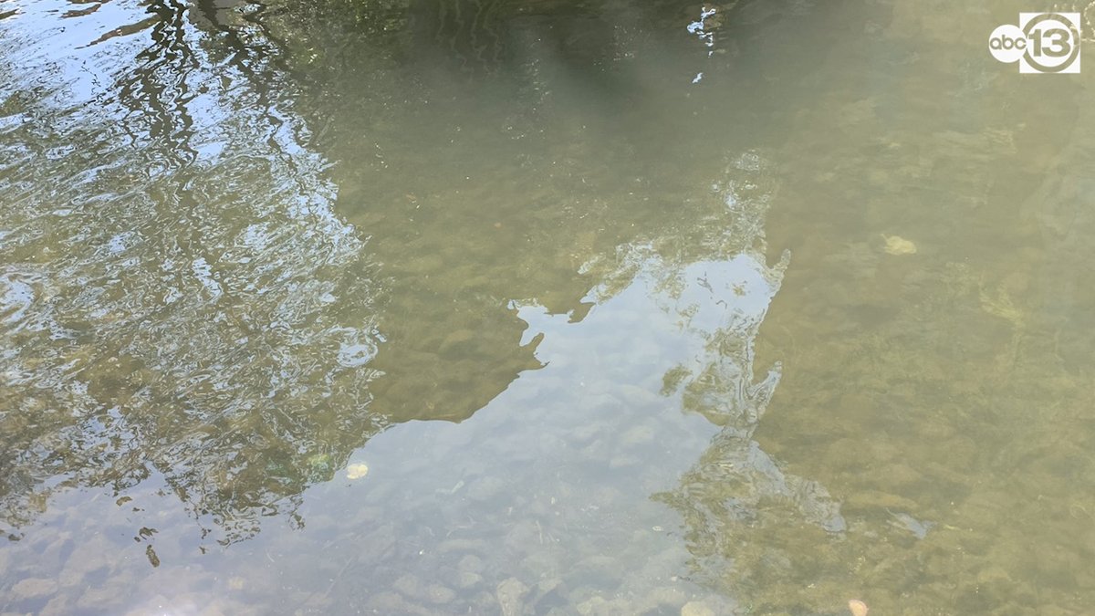 HAVE YOU EVER SEEN IT SO CLEAR? Like Venice, San Antonio's River Walk is running clear while residents and tourists self-isolate during coronavirus. abc13.com/coronavirus/?e…