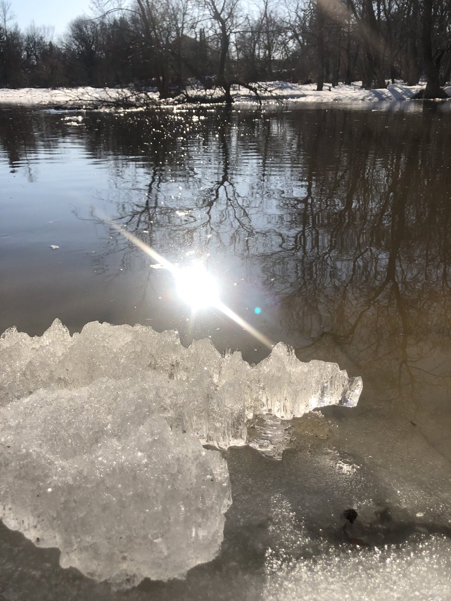 kmkennington's tweet photo. Enjoying the little things today. https://t.co/D7wwXiMp34