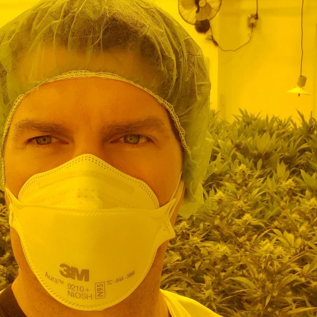 Our next crop is growing like a weed! 🙃

#bcbud #sitkaweedworks #craftcannabis
#cannabis #microgrower #britishcolumbia #BC #VancouverIsland #craftcannabis #shoplocalyyj #shoplocalyvr #craft #BCbud #cannabiscommunity #smoke #natural #licensedproducer #highlife