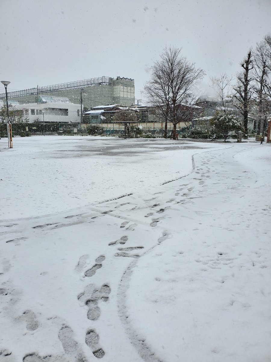昨日は春をお届けしましたが……

朝起きたら雪が‼️

もうすぐ4月だよ??

東京の桜と雪?⛄ 
