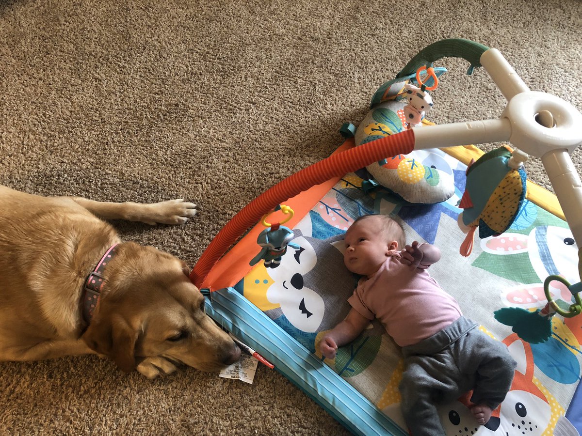 EthanCharles's tweet photo. #besties Ellie loves Ryan https://t.co/awkdNVBXFN