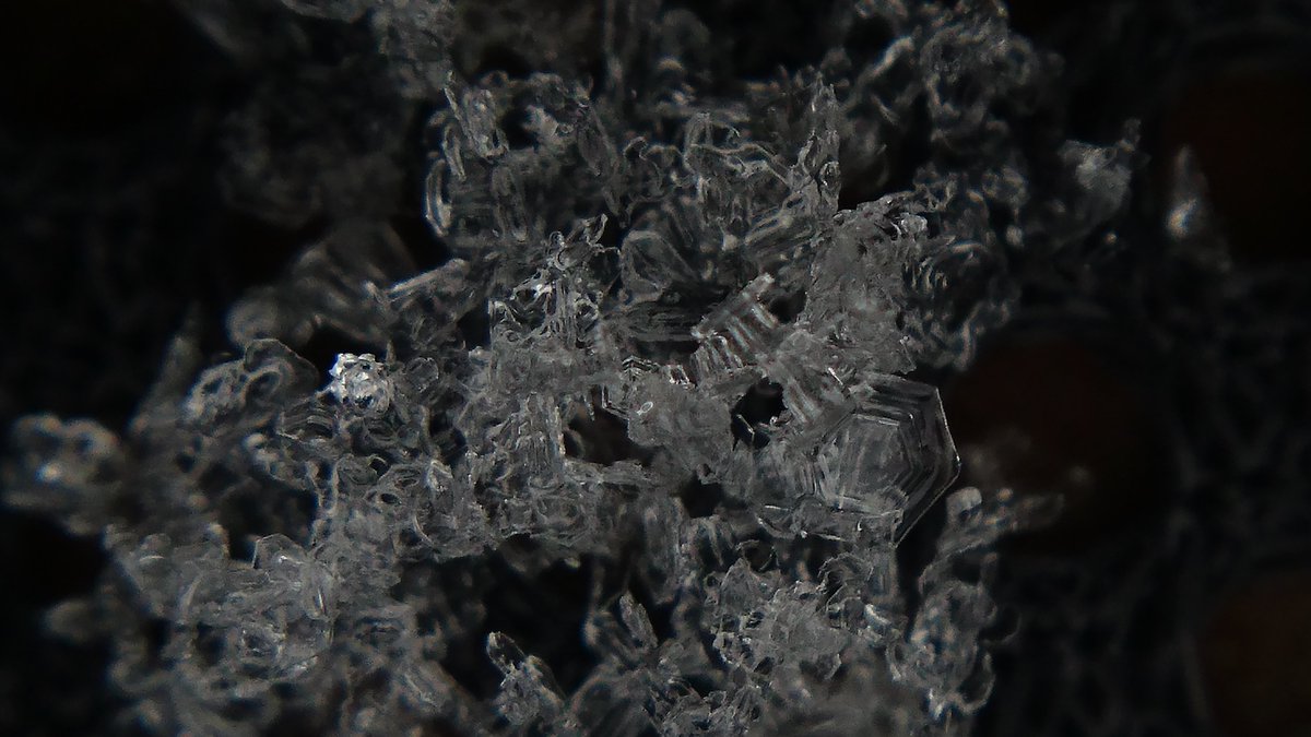 weather8900's tweet photo. 2020.3.29 11:20～11:25 宇都宮
#関東雪結晶 https://t.co/gXNLy5iBYD