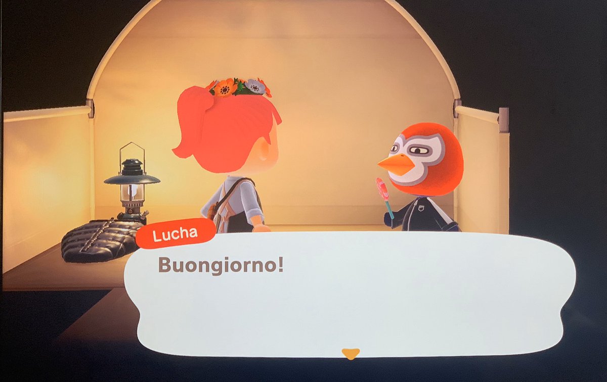 me: please god let me get a good villager at the campsite
god of animal crossing: