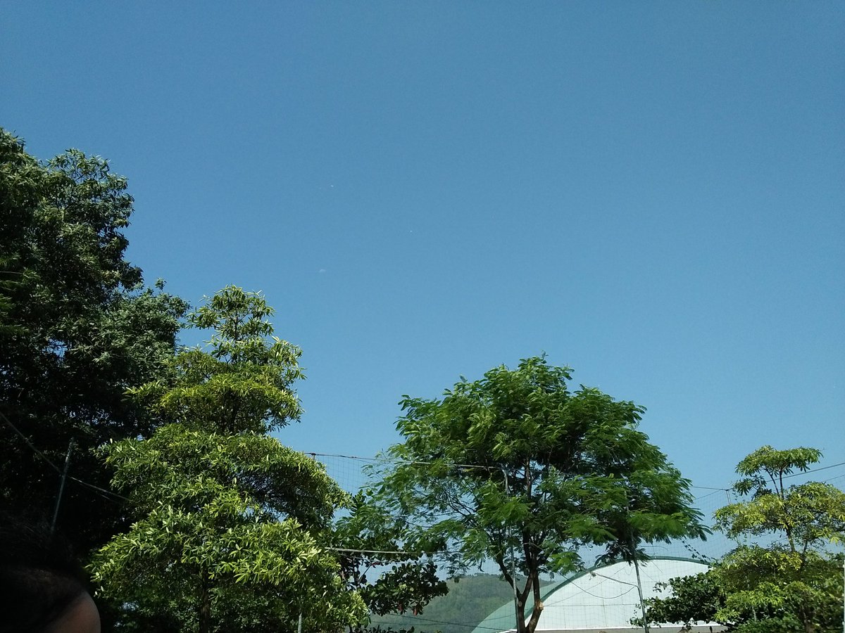 Alice010711's tweet photo. Bức ảnh chụp khoảng 8 tháng trước, giờ mới đăng 😂😂😂
#blue_sky #green_tree #BaiChayhighschool #HaLong #QuangNinh #VietNam https://t.co/TzRBvMrCFm