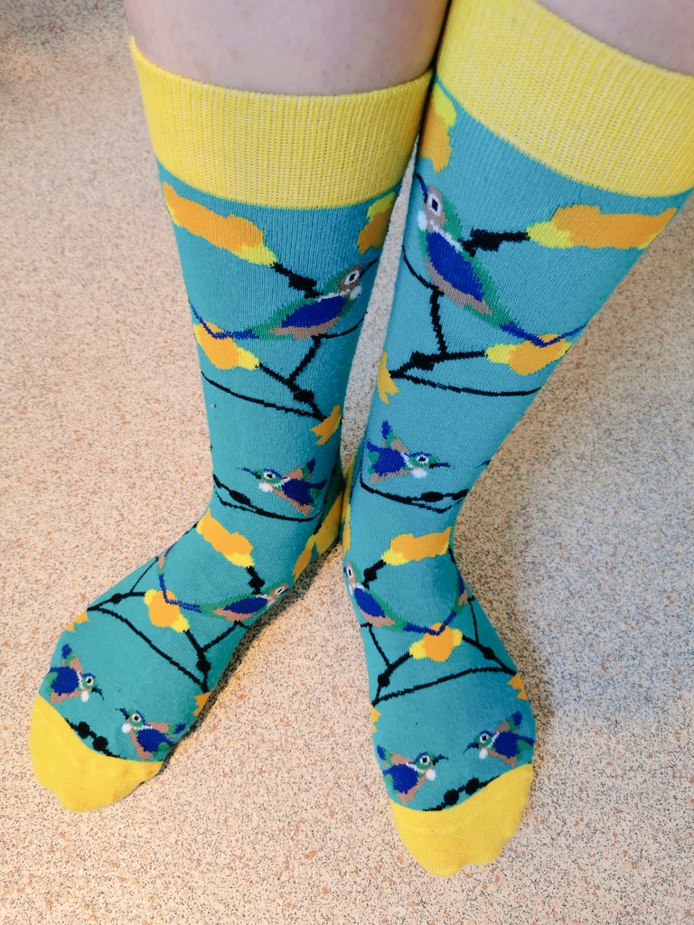Now that we're stuck at home... And it has been a smidge chilly (at least in Welly)... Let's start a cool sock thread! I'll go first with my birds..Your turn...