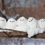 【もふもふが再現されてる】シマエナガの雪だるまがちょこんとしてて可愛い