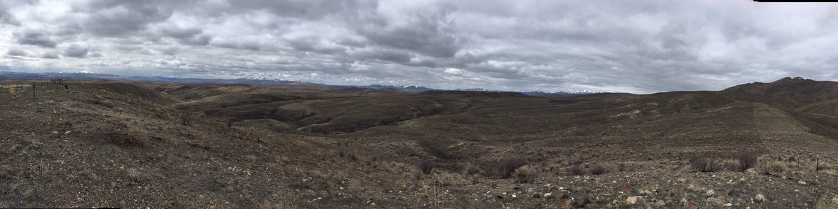 Cowjon's tweet image. Nevada is one of the most outsidest places on the globe.