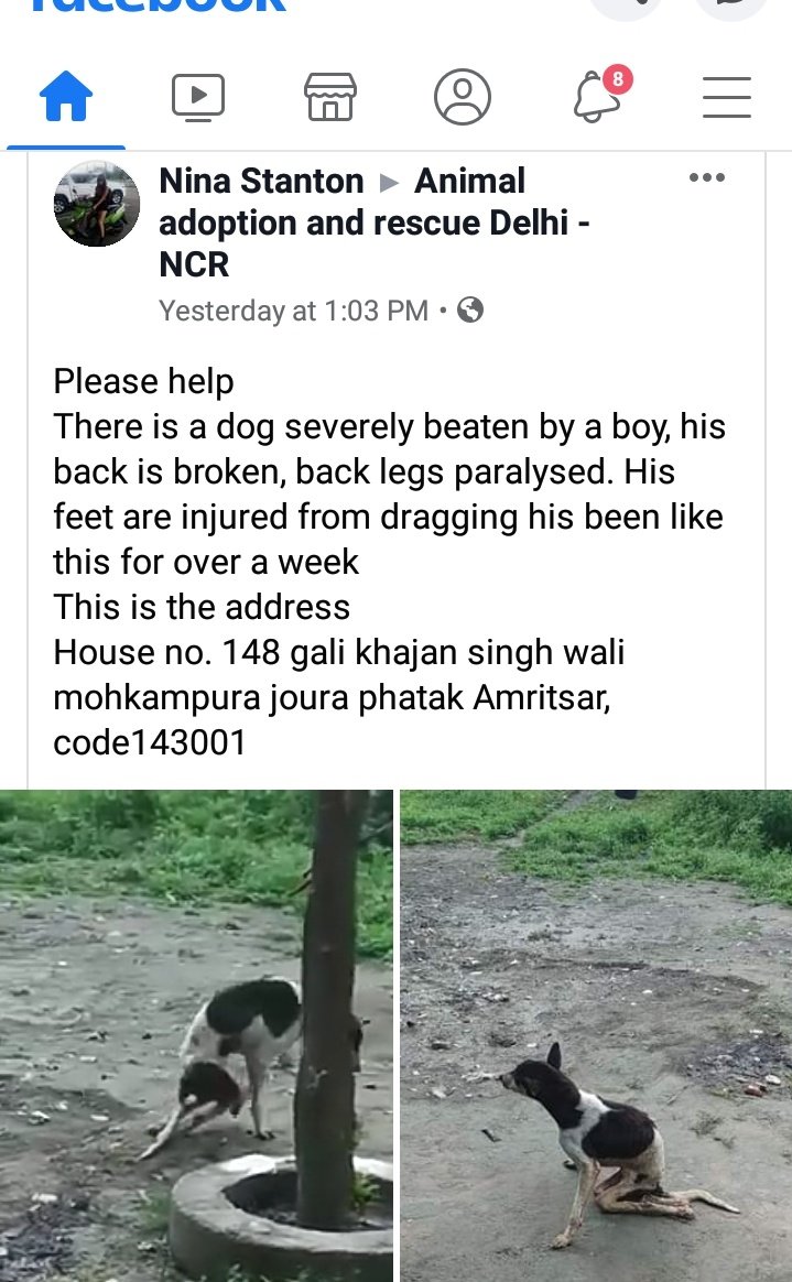 PETA India on Twitter: PETA India on Twitter: