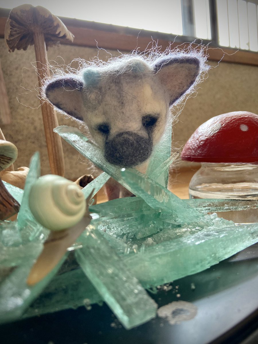 Twoucan 人喰いの大鷲トリコ の注目ツイート イラスト マンガ コスプレ モデル