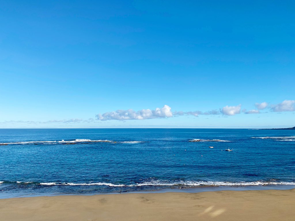 Si una cosa está demostrando el confinamiento es que las personas somos el cáncer de este planeta. Nos encerramos y desaparece la contaminación, los animales vuelven a pueblos y ciudades desiertas, todo está más limpio... Espero q hayamos aprendido algo + que a lavarnos las manos