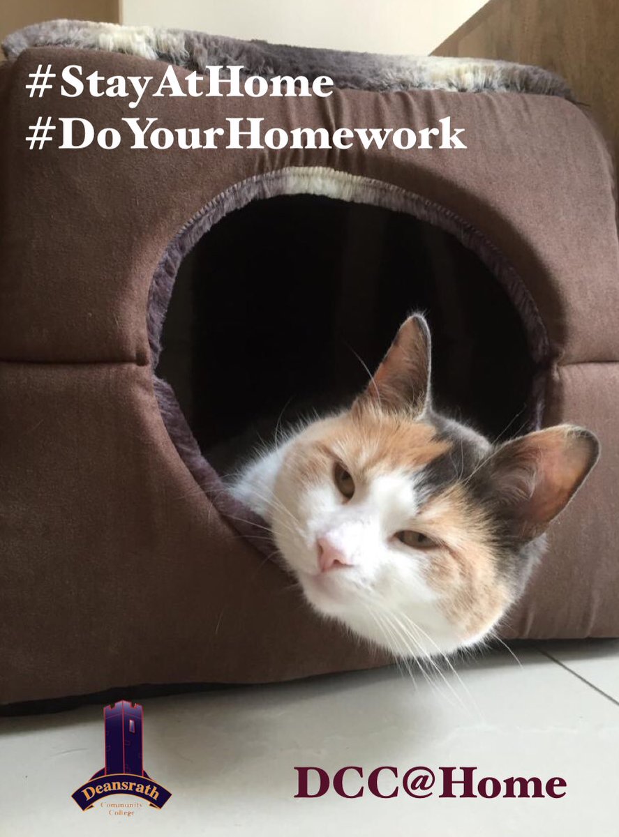 DeansrathTEL's tweet photo. #StayAtHome #DoYourHomework make sure you log on everyday to DCC@Home. Lessons on OneNote in ContentLibrary, Homework in ‘Homework’. Help:https://t.co/pJXBu3rDEf Support: email MrPower/MrFitz #DDLETBdigital #EdShareIE @ddletb #Internet4Ed https://t.co/l3CL90aZ1O