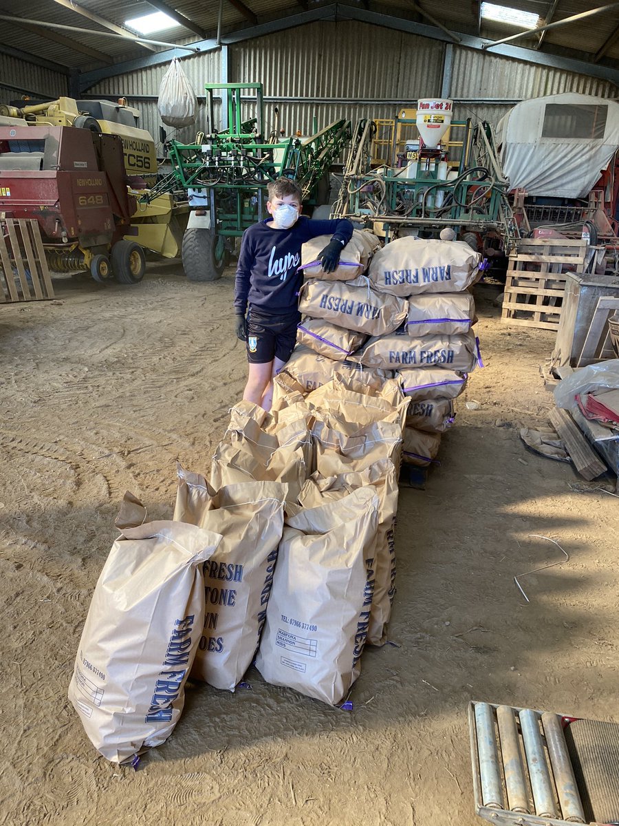 Charlottelamb18's tweet photo. Super proud of Sophie and Harry keeping the food chain going in this difficult time!! #potatoes #farmlife @WalesHigh @HarthillPS https://t.co/uUI89mcSSa