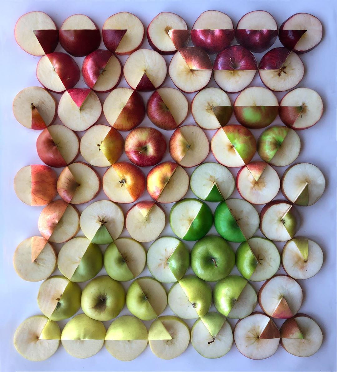 Brindille_'s tweet photo. 🍊🍏🍎🍌🍋
#artworks &amp; #photos by 'object arranger' © Adam Hillman https://t.co/2TOoFdKgkJ