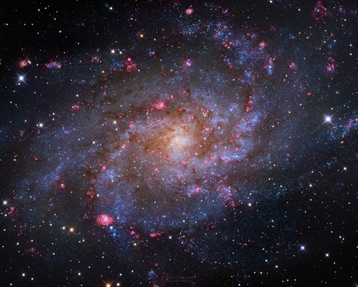 Space photo moment - M33: The Triangulum Galaxy by Rui Liao ( https://apod.nasa.gov/apod/ap191231.html)