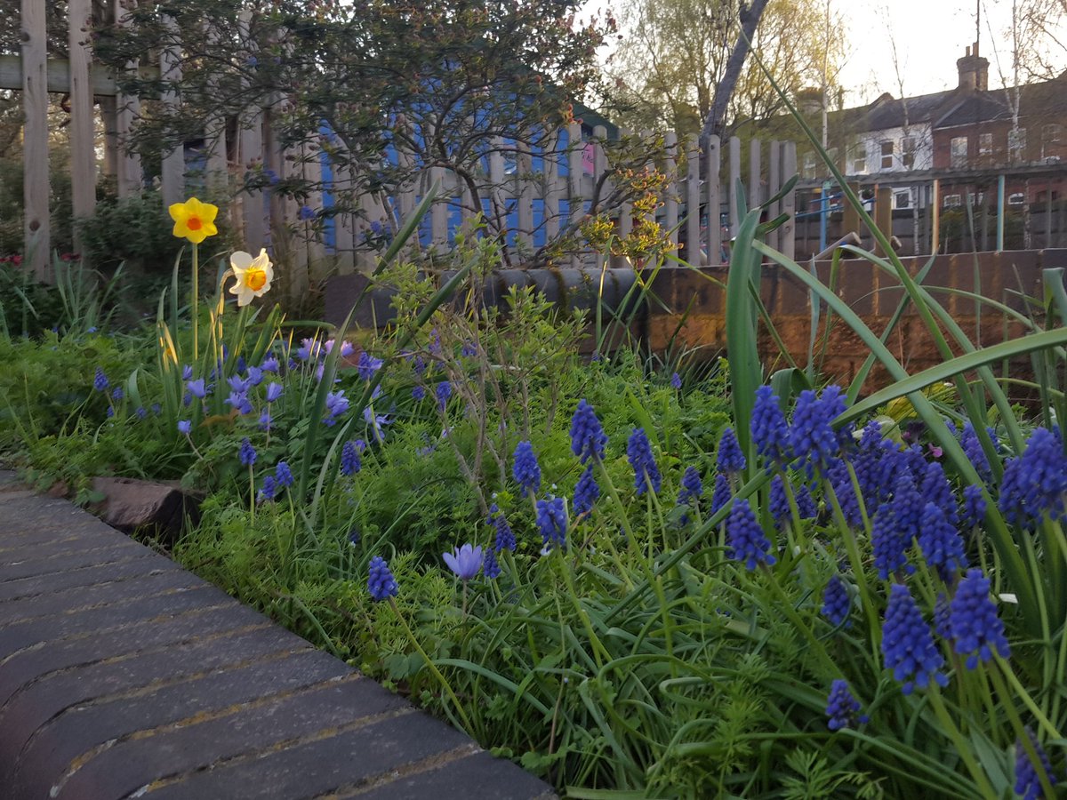 Todays picture is a beautiful example of spring <a href="/KilmorieSchool/">KilmorieSchool</a> <a href="/KilmoriePrimary/">Kilmorie Primary</a> #kilmoriegardens