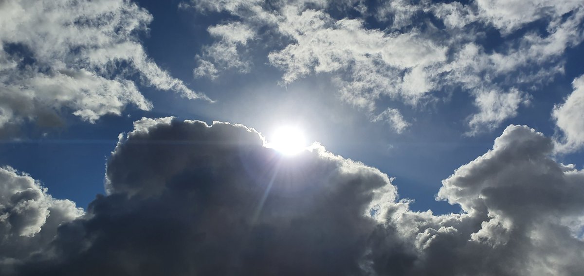 Havenlust's tweet photo. 🕊♥️ https://t.co/Z8MvsU34dG