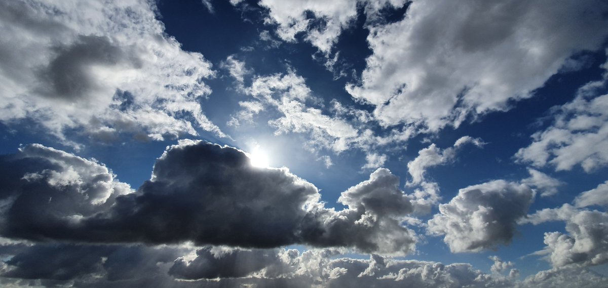 Havenlust's tweet photo. 🕊♥️ https://t.co/Z8MvsU34dG