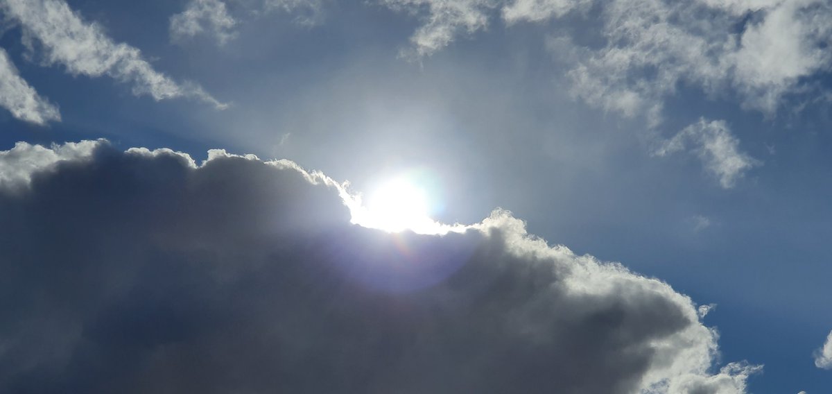 Havenlust's tweet photo. 🕊♥️ https://t.co/Z8MvsU34dG