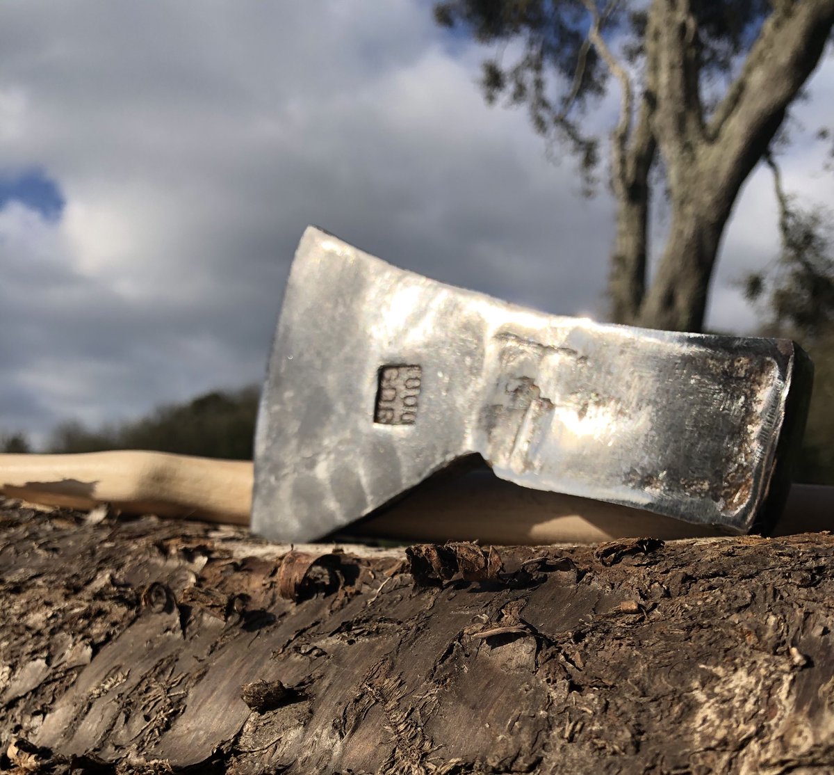 Dawn French 💙🔴🏳️‍🌈🇺🇦🇵🇸 tweet media