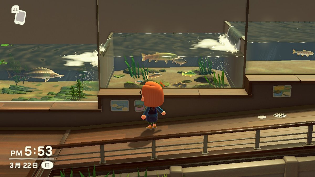 ころな うわわわ凄い 寄贈だけして帰る人は気づかないかもしれませんね 私はまだリニューアル前でした 結構釣ってると思うのですが 最後の大物 イトウが釣れたら変わるのかな