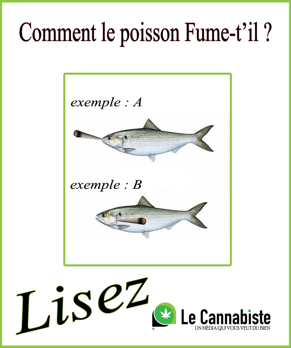 Téléchargement gratuit Images Anwtnubbzfap2m dernière par