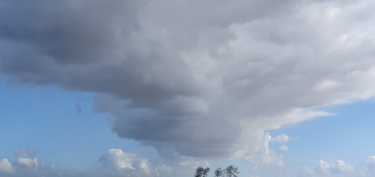 Havenlust's tweet photo. 🕊♥️ https://t.co/6RtiUz52uH