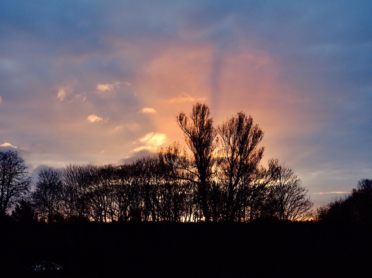 ruths_gallery's tweet photo. It was amazing watching the #crepuscular rays over Eel Pie Island this morning as #BritishSummertime kicked in at #Twickenham #sunrise 

It looked as if the island was on 🔥 

@ThePhotoHour @StormHour #loveukweather #ruthiebabes https://t.co/ojL5BfS5od