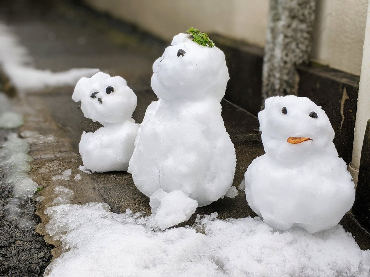 園田隆一郎 家族3人で雪だるま作り 家 の駐車場にて すでに最初からユルい仕上がりだけど 3時間後通りかかったらより一層愛くるしい仕上がりに 週末はのんびり家で過ごすに限る