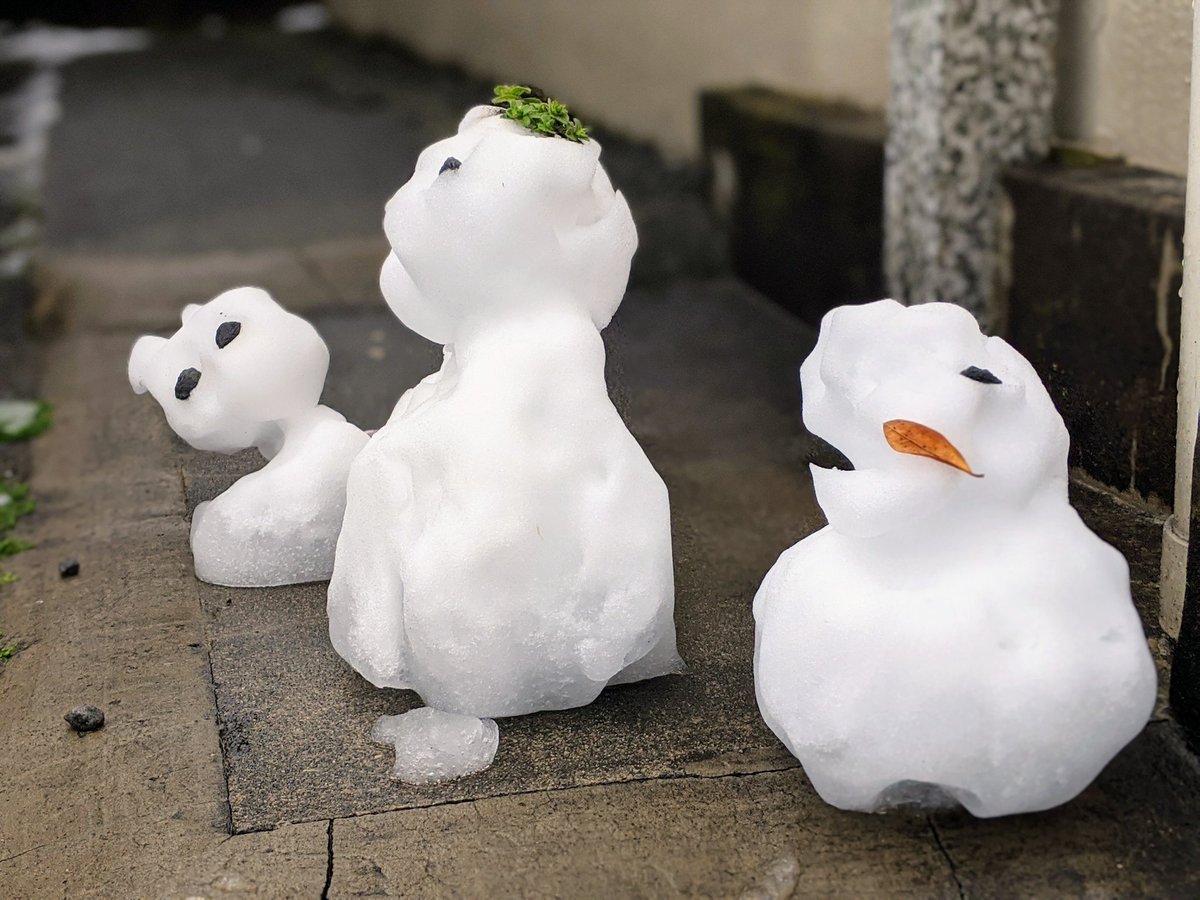 園田隆一郎 家族3人で雪だるま作り 家 の駐車場にて すでに最初からユルい仕上がりだけど 3時間後通りかかったらより一層愛くるしい仕上がりに 週末はのんびり家で過ごすに限る