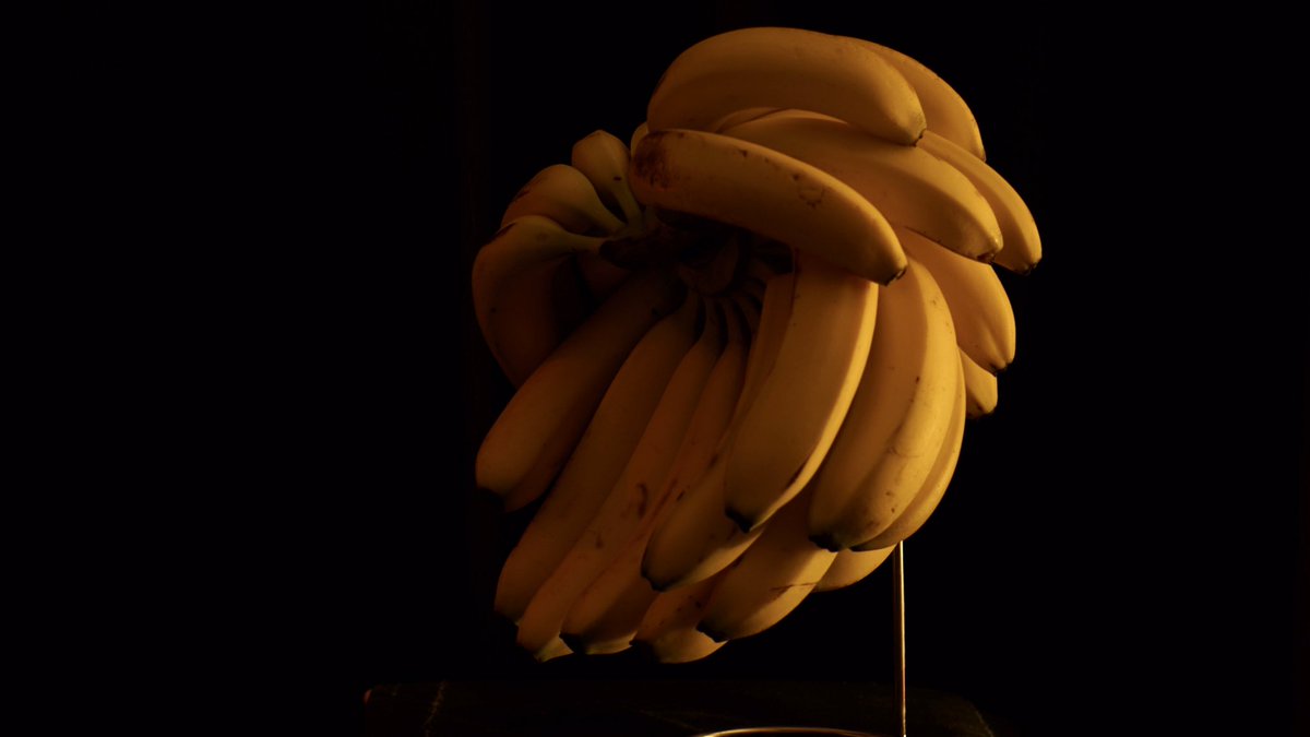 Sub_Pro_Y's tweet photo. #banana #photograghy https://t.co/3lB792sc4V
