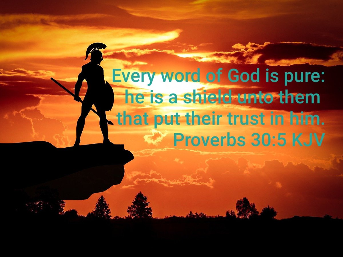 Trust God and he will protect and provide. #christiancounseling #mentalhealth #mentalhealthmatters #christianmentalhealth #mentalhealthawareness #counseling #therapy #counselingpsychology #christiantherapy #mentalhealthadvocate #spiritualcounseling #mentalhealthisimportant