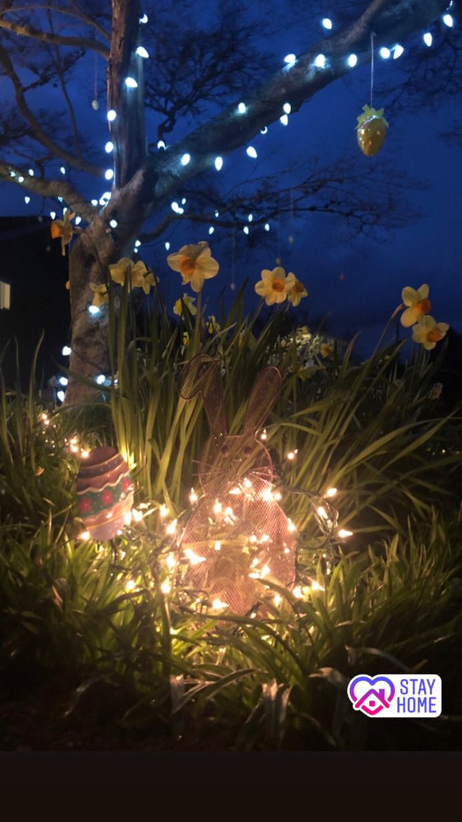 Heard people are putting out white lights for cheer during #coronavirus #stayhome - so we did, plus Easter decorations. #happyplace