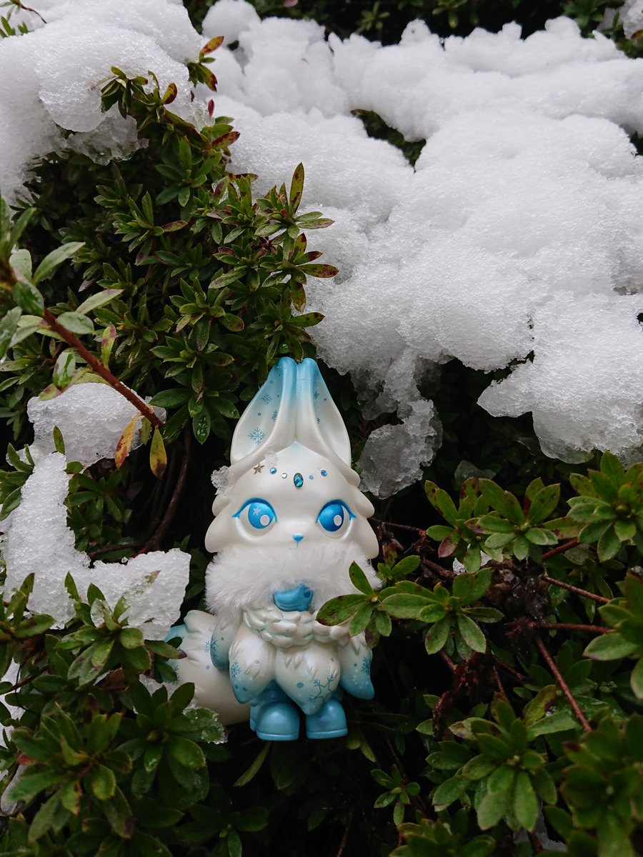 konpeitou423's tweet photo. 雪の中出勤した悔しさを
「この時期に雪の写真撮れるってラッキー!」に置き換える
#forestdreamer https://t.co/djxpmMJl9Q