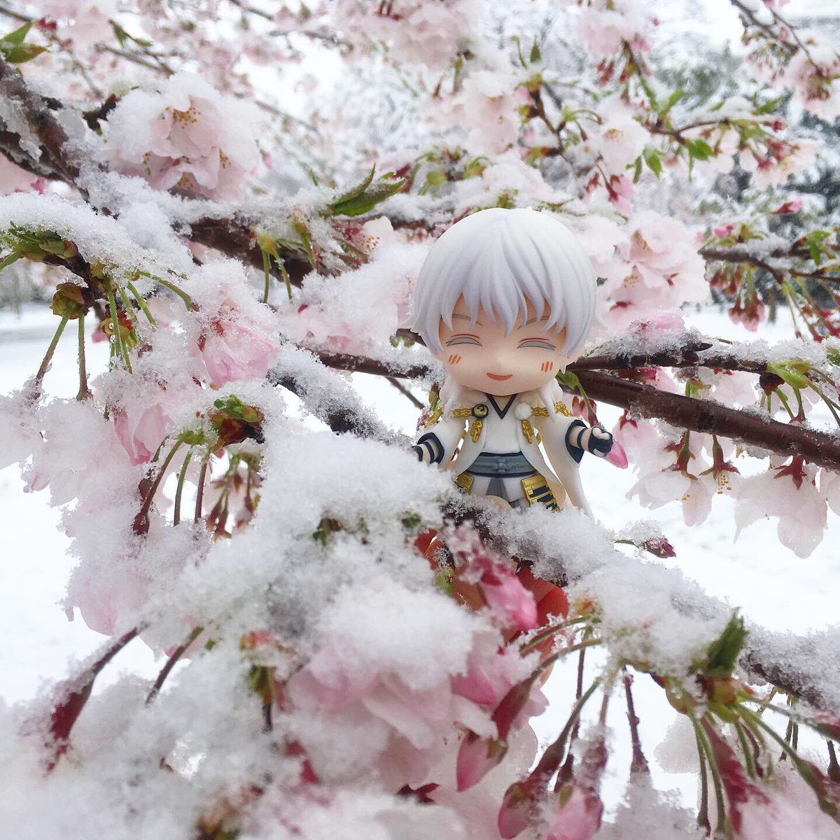 水彩切り絵作家🐣尚(Nao) 🐣NAOAPOCO🐥 tweet media