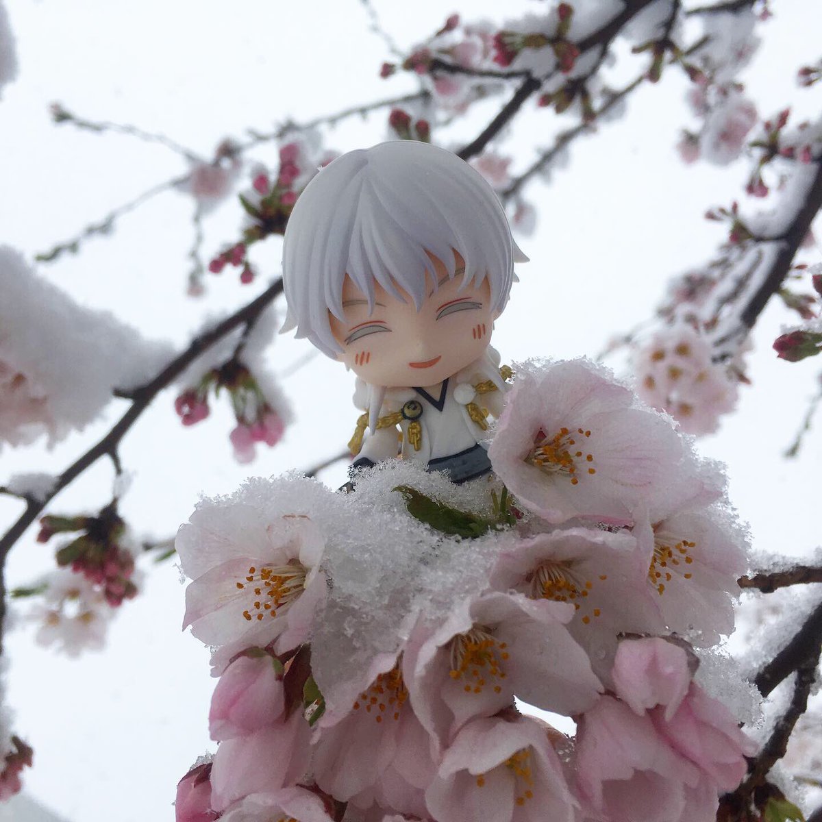 水彩切り絵作家🐣尚(Nao) 🐣NAOAPOCO🐥 tweet media